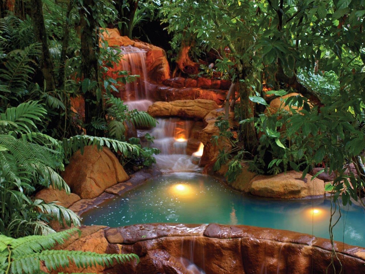 1.-Guided-Rainforest-Nature-Walk-and-Hot-Springs.jpeg