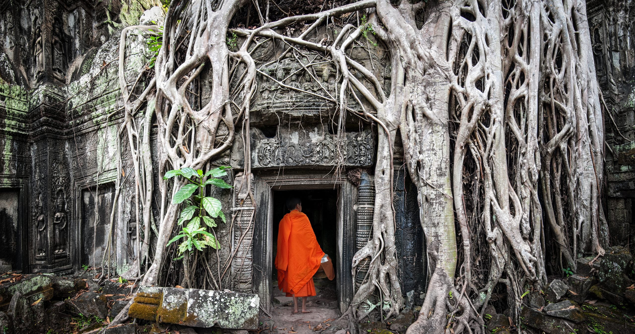 Cambodia_Monk-Ta-Prohm-scaled-1.jpg
