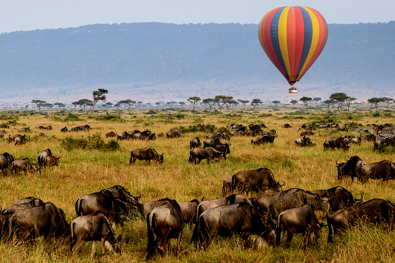 Serengeti-Balloon-Safaris.jpg