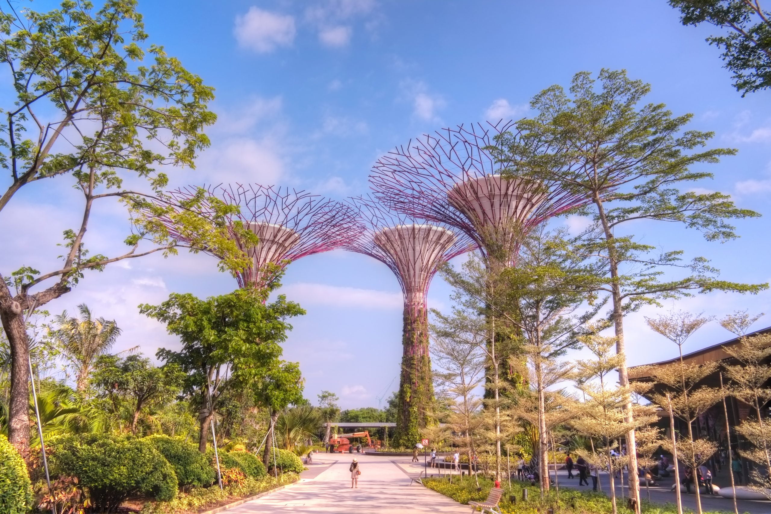 Singapopre_Gardens-By-the-Bay-scaled-1.jpg