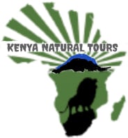 Kenya Wildlife Safari Tour  | Mount Kenya Trekking/Hiking/Climbing Tour Operator – KENYA NATURAL TOURS CO LTD